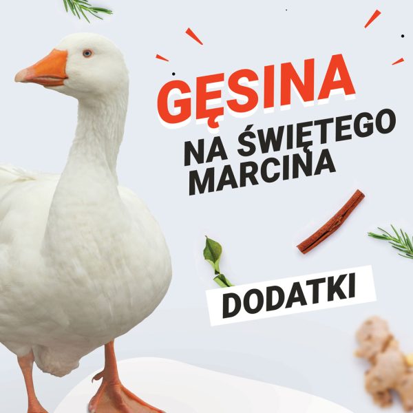 bulwar-gesina-na-swietego-marcina-dodatki.jpg